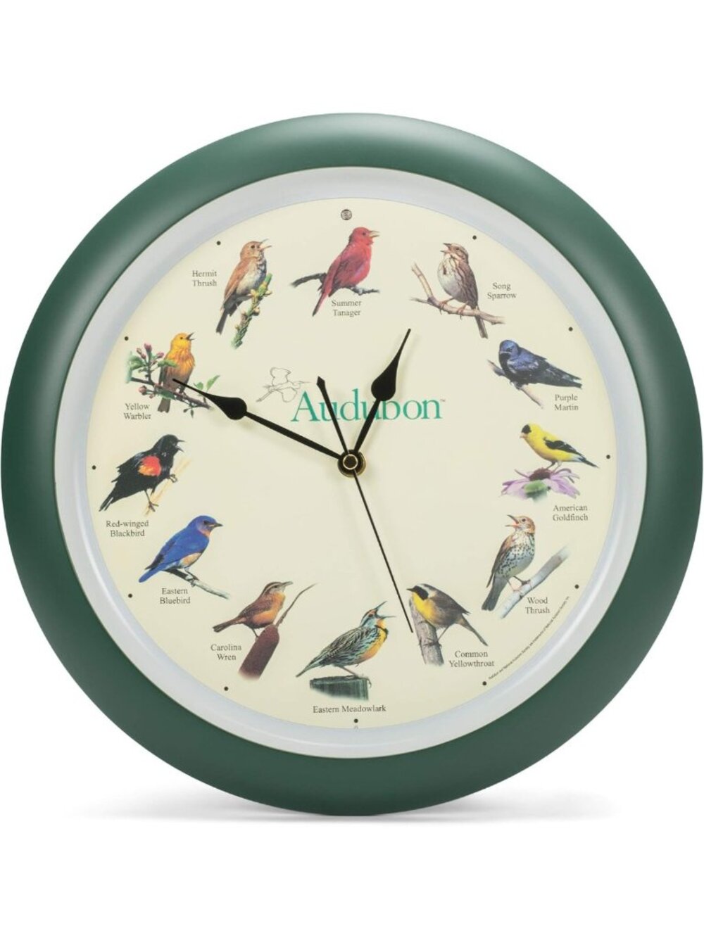 Singing Bird Wall Clock 13" - 12 Hourly Bird Songs, Nature-Inspired Decor, Green